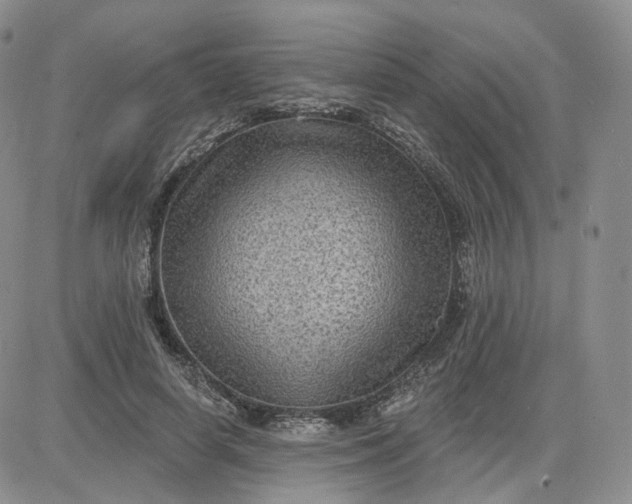 X0000083650642200702261117