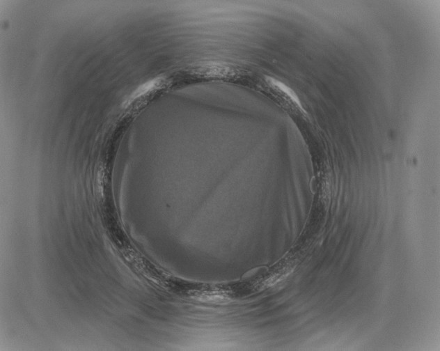 X0000083650643200702261117