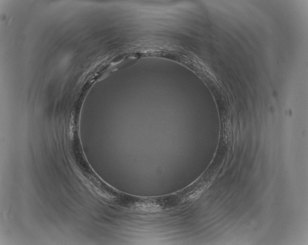 X0000083650644200702261117