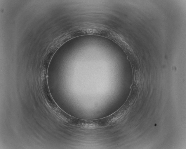 X0000083650645200702261117