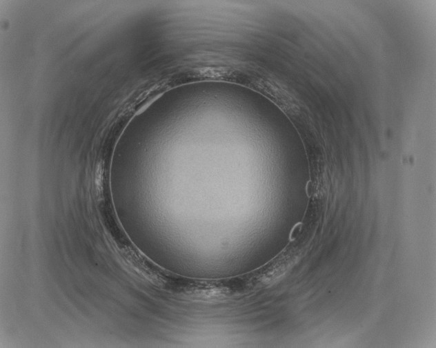 X0000083650646200702261117