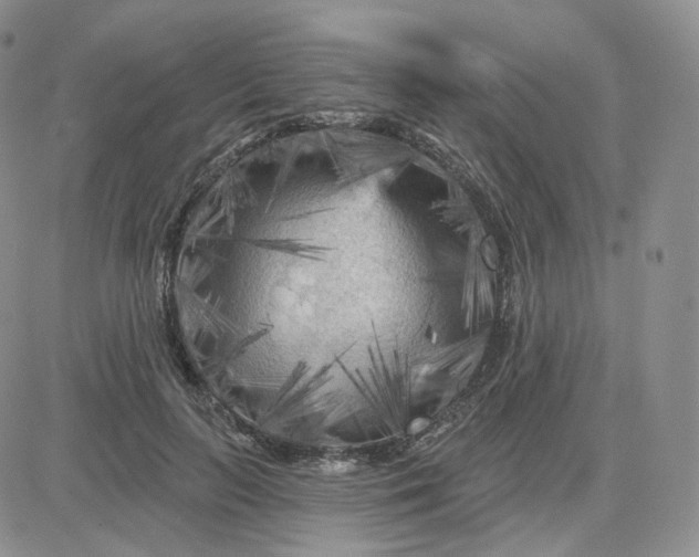 X0000083650647200702261117