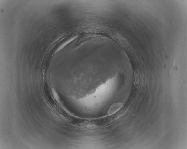 X0000083650648200702261117