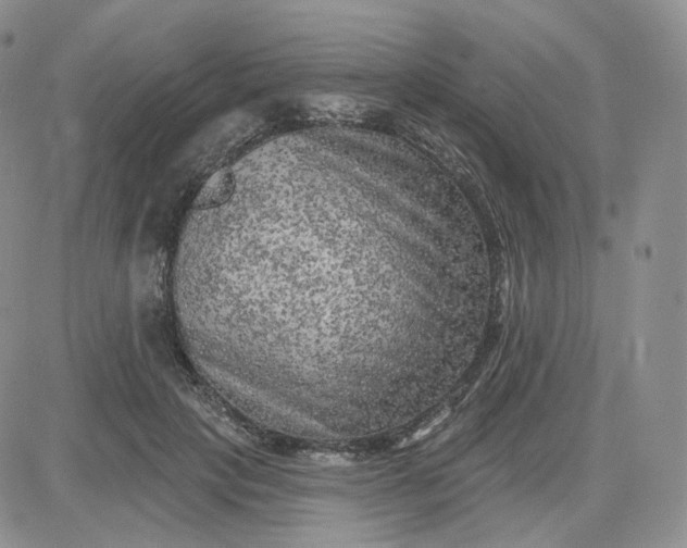 X0000083650649200702261117