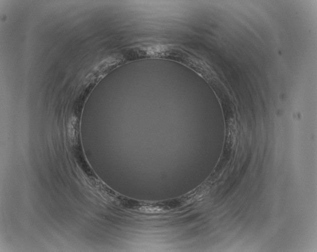 X0000083650650200702261117