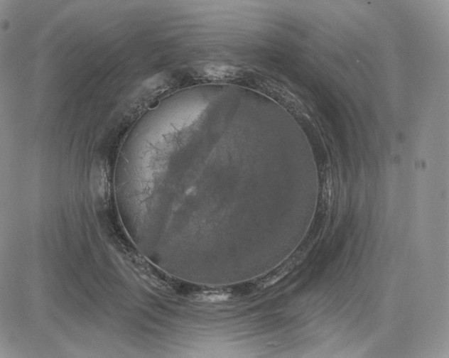 X0000083650651200702261117