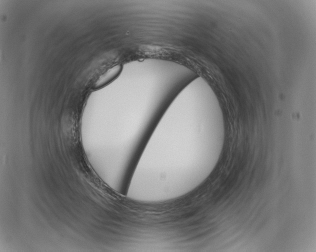 X0000083650653200702261117