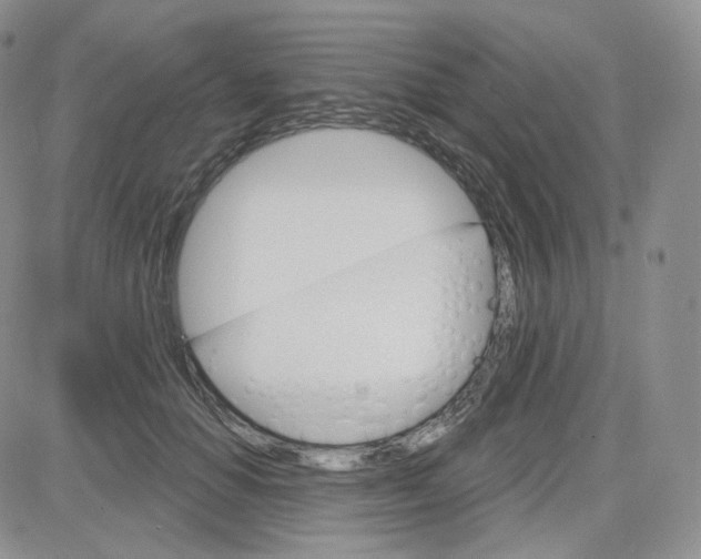 X0000083650654200702261117