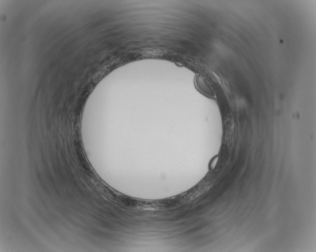 X0000083650655200702261117