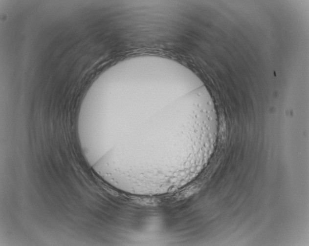 X0000083650656200702261117