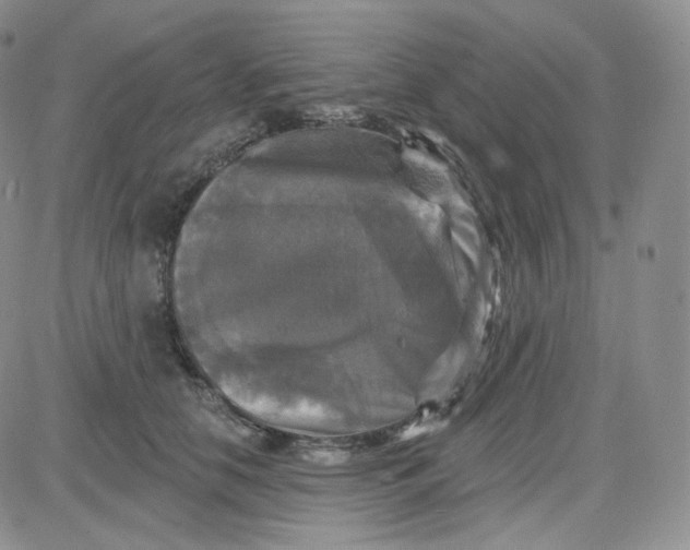 X0000083650658200702261117