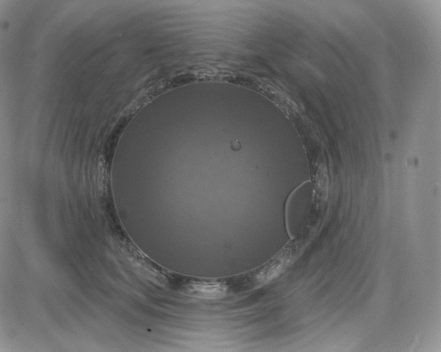 X0000083650659200702261117