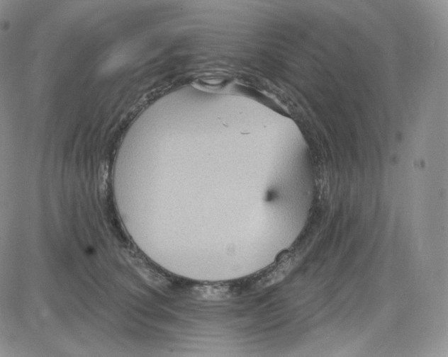 X0000083650660200702261117