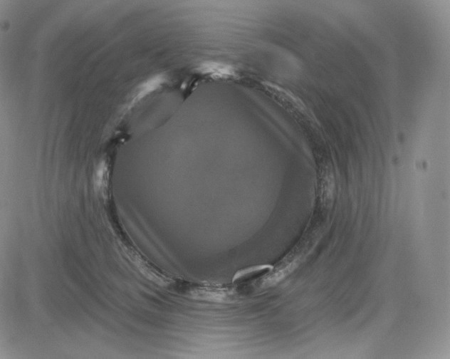 X0000083650661200702261117