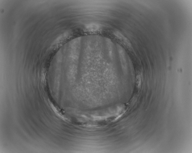 X0000083650662200702261117