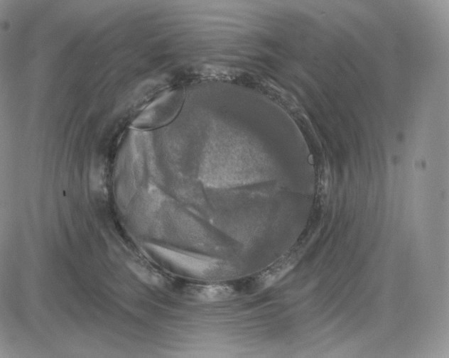 X0000083650663200702261117