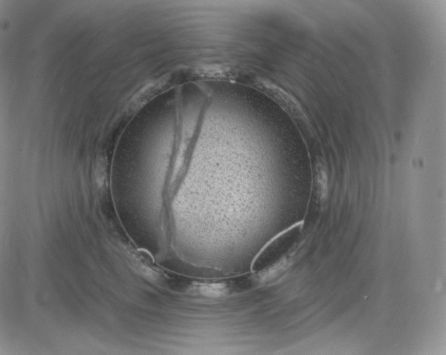 X0000083650665200702261117