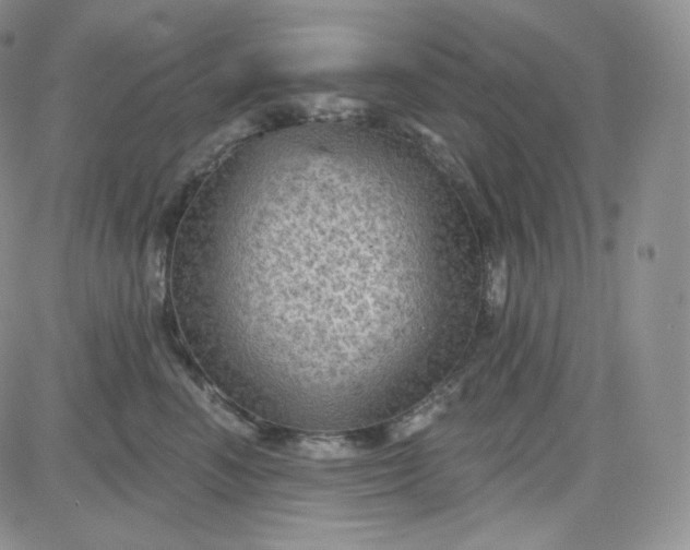 X0000083650666200702261117