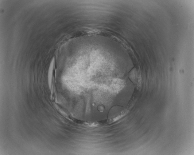 X0000083650667200702261117