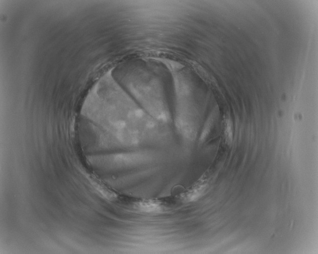 X0000083650668200702261117