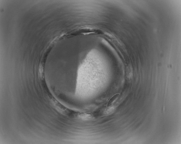 X0000083650669200702261117