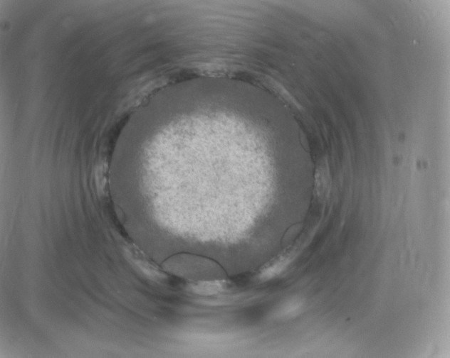 X0000083650671200702261117