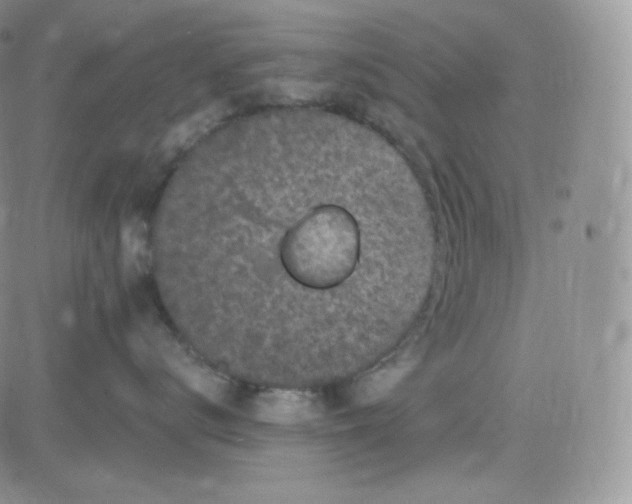 X0000083650672200702261117