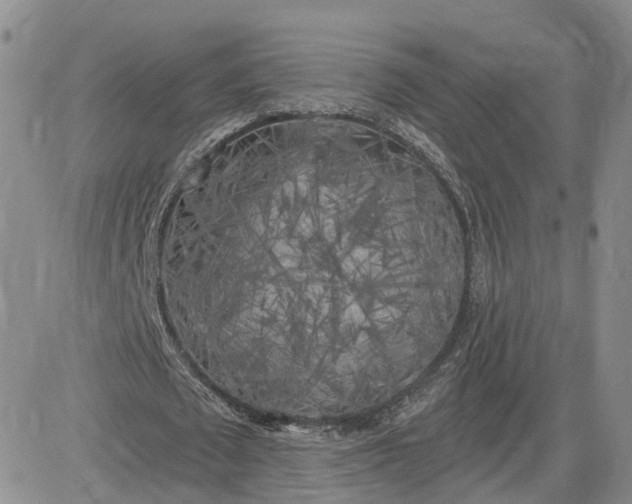 X0000083650673200702261117