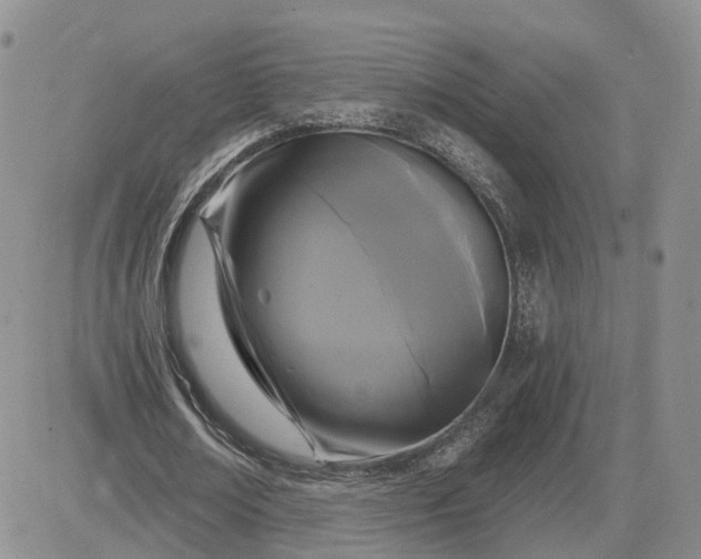 X0000083650674200702261117