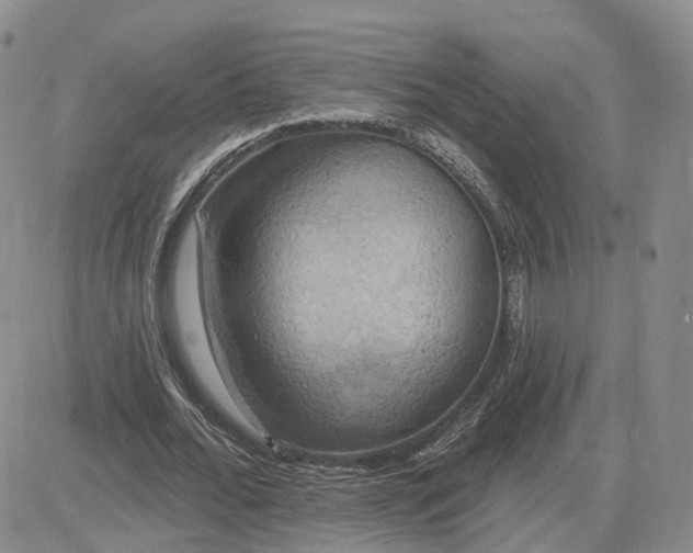 X0000083650676200702261117