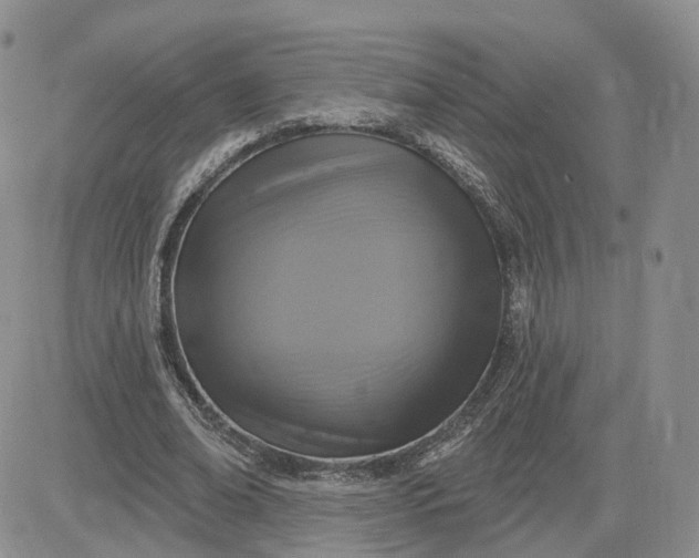 X0000083650678200702261117