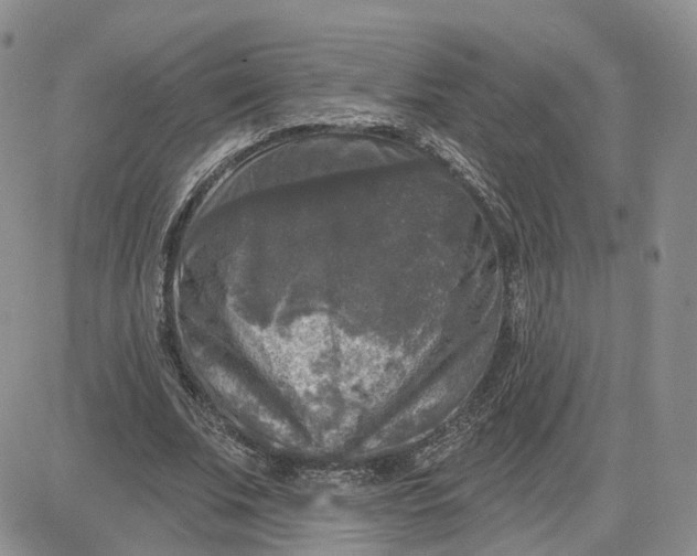 X0000083650679200702261117