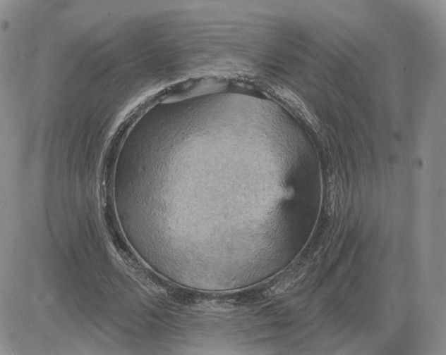 X0000083650680200702261117