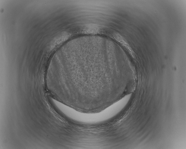 X0000083650681200702261117