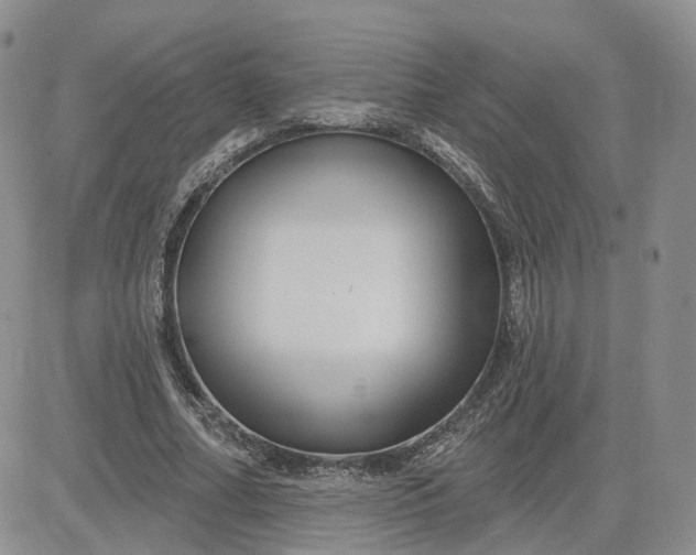 X0000083650682200702261117