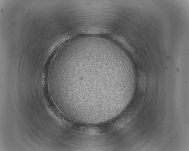 X0000083650683200702261117