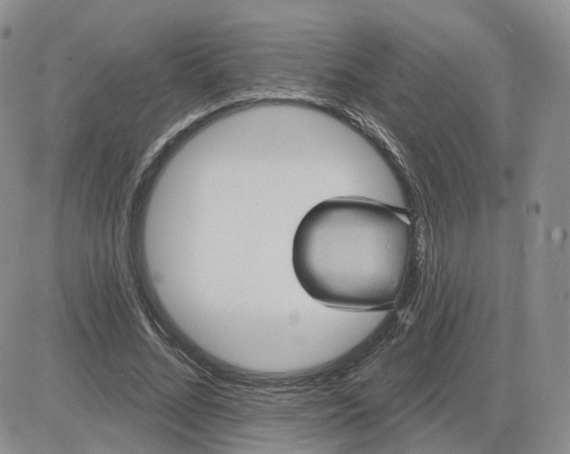 X0000083650684200702261116