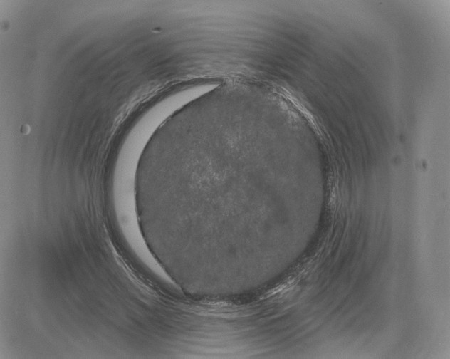 X0000083650685200702261116