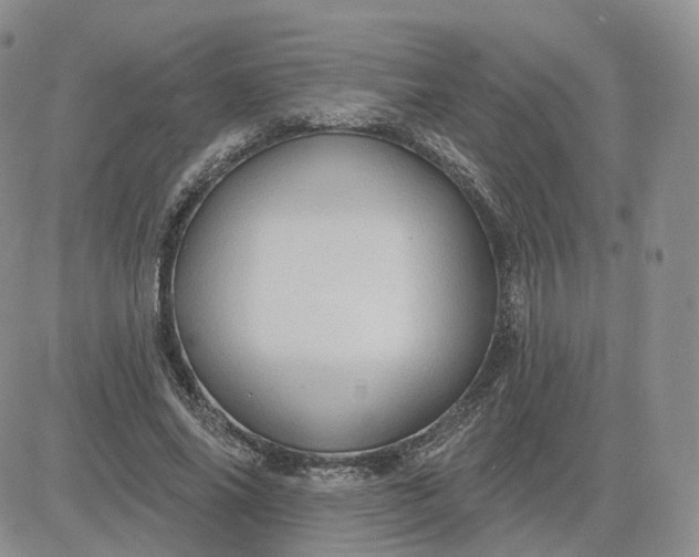 X0000083650686200702261116