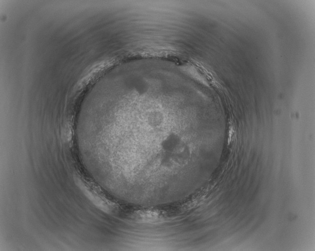 X0000083650687200702261116