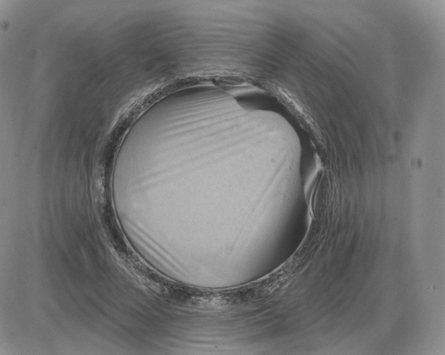 X0000083650688200702261116