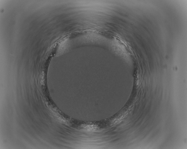 X0000083650689200702261116