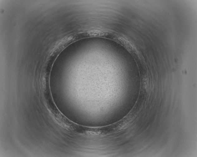 X0000083650690200702261116