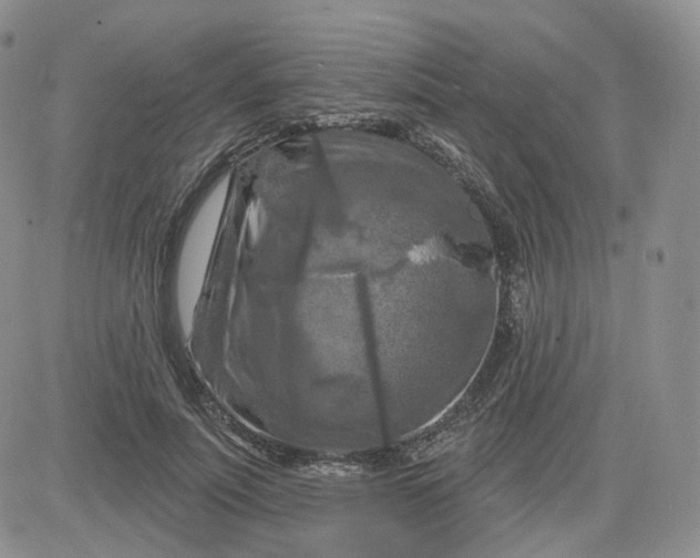 X0000083650691200702261116