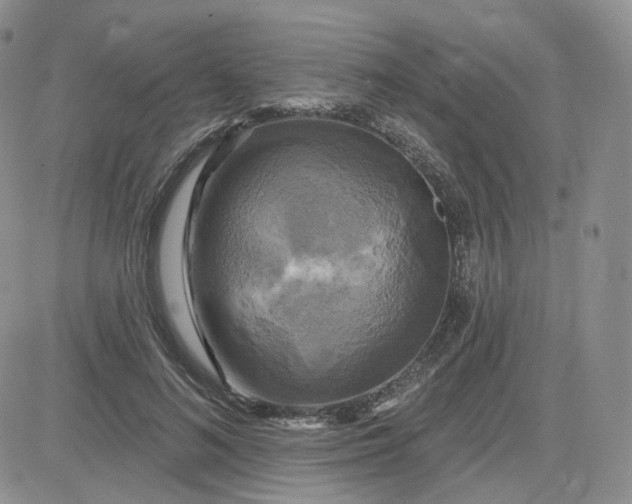 X0000083650692200702261116