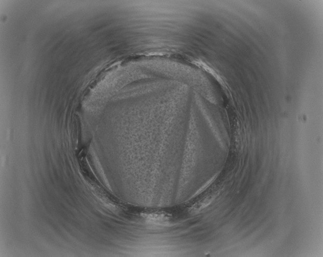 X0000083650693200702261116