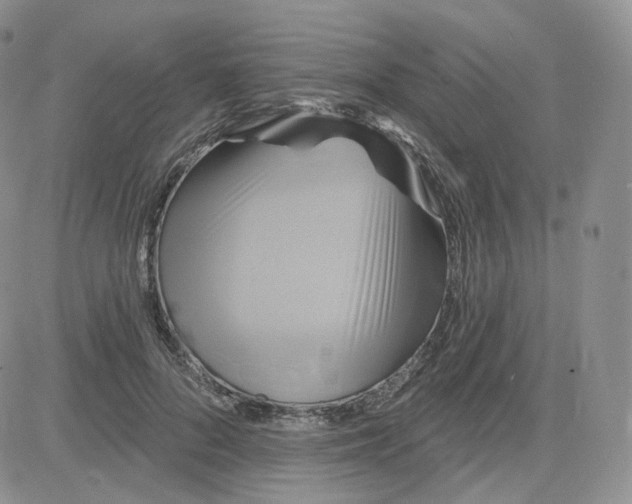 X0000083650696200702261116