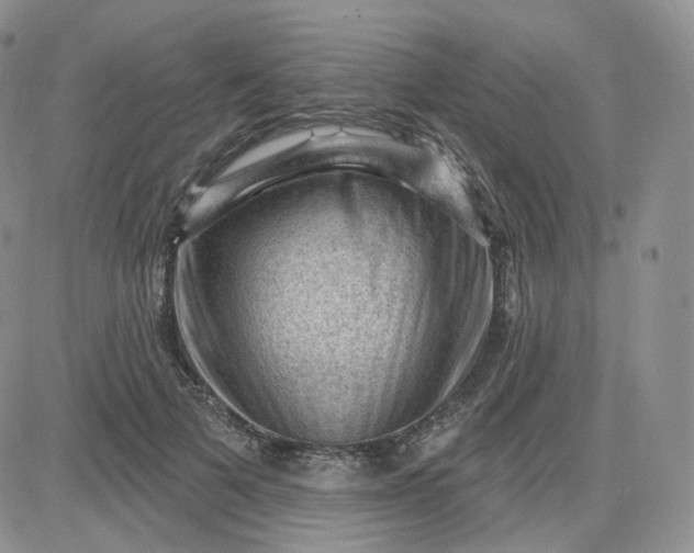 X0000083650697200702261116