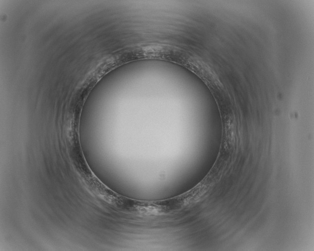 X0000083650698200702261116