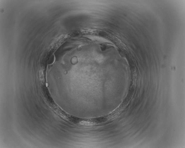 X0000083650699200702261116